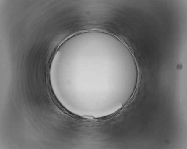 X0000112910097200910051053