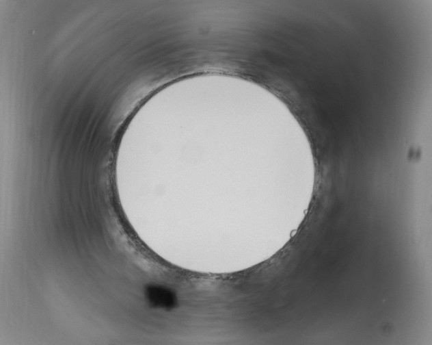 X0000112910098200910051053