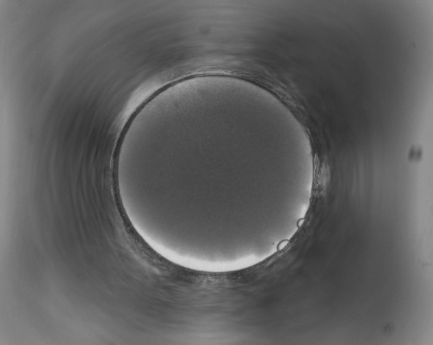 X0000112910099200910051053