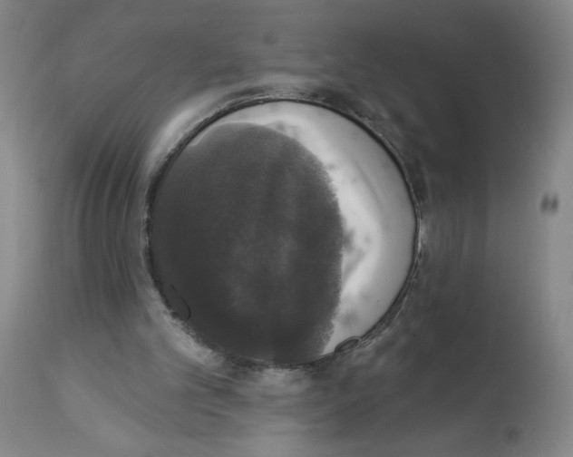 X0000112910101200910051053