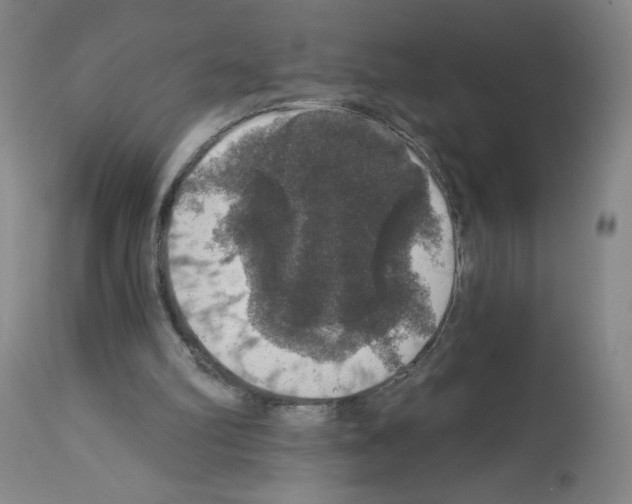 X0000112910102200910051053