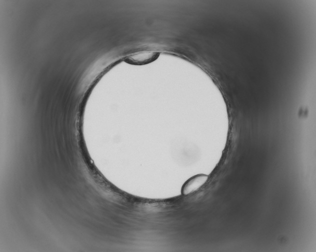 X0000112910103200910051053
