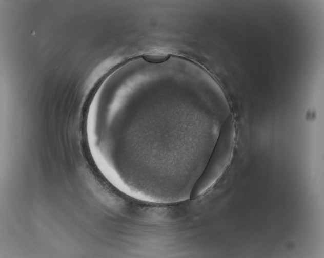 X0000112910104200910051053