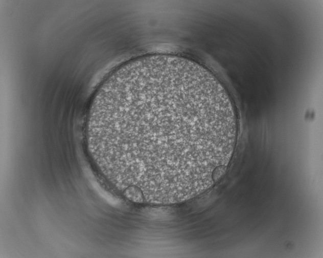 X0000112910106200910051053