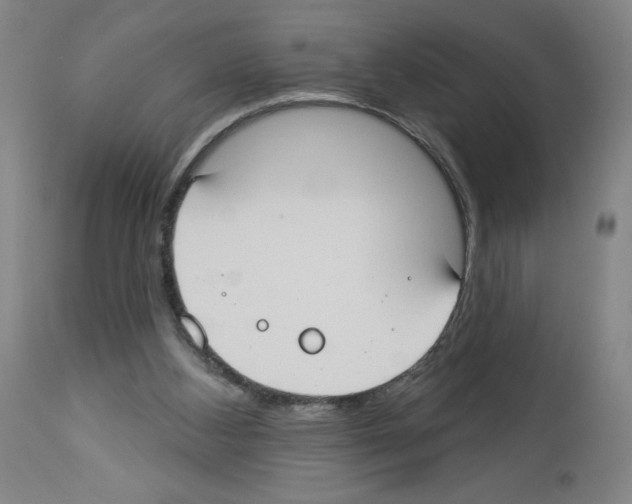 X0000112910108200910051053
