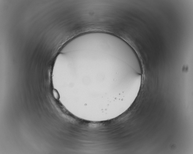 X0000112910109200910051053