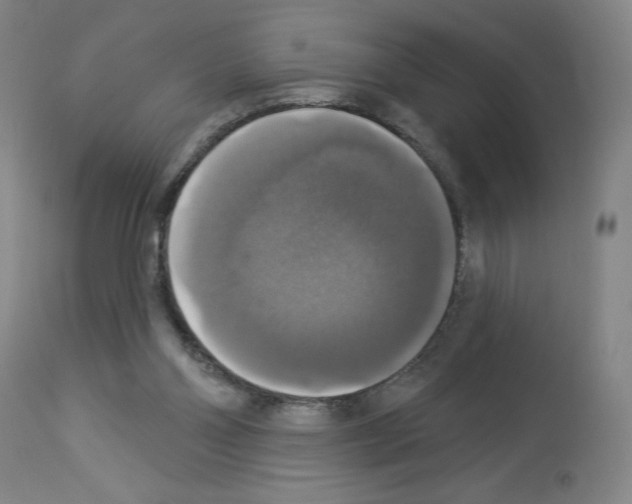 X0000112910110200910051053