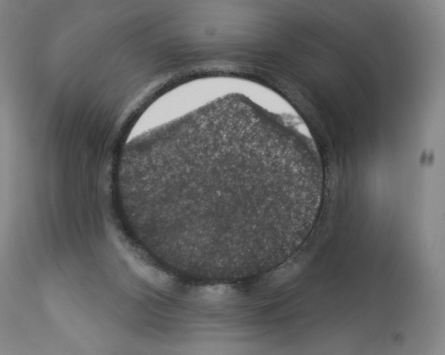 X0000112910112200910051053