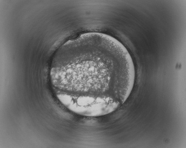 X0000112910113200910051053