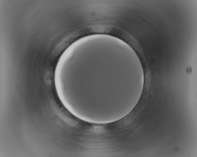 X0000112910114200910051053