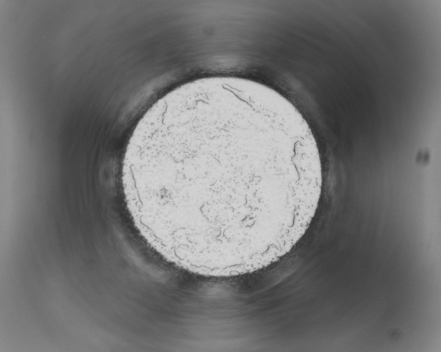 X0000112910115200910051053