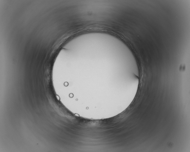 X0000112910116200910051053