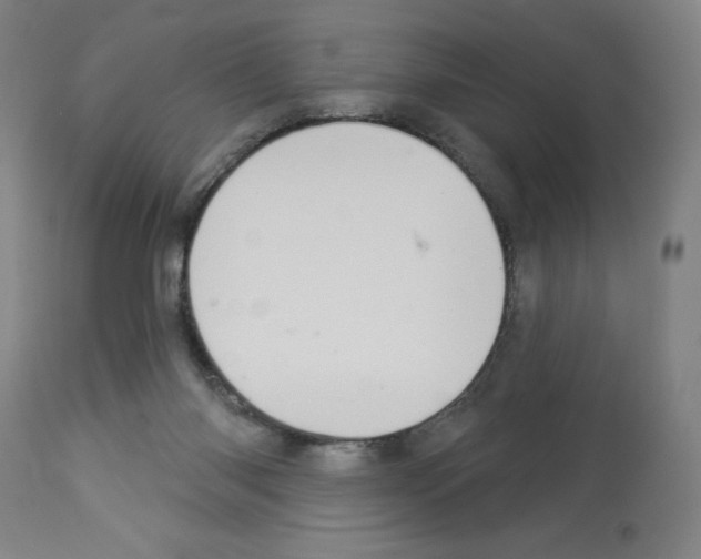 X0000112910118200910051053
