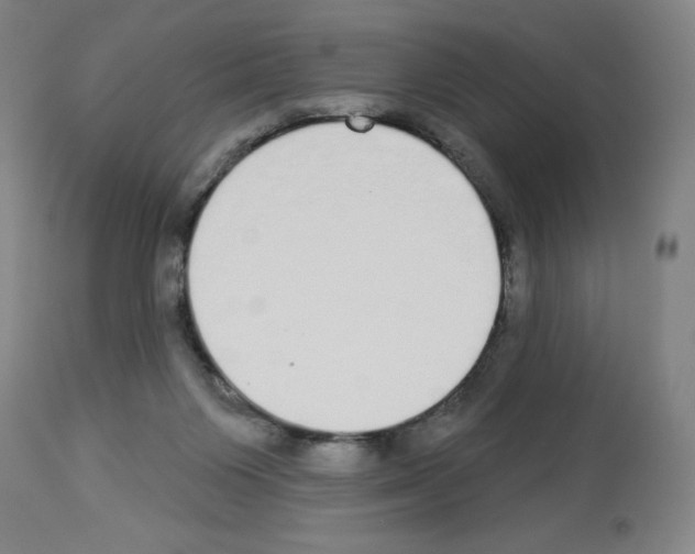 X0000112910119200910051053