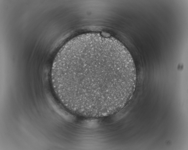 X0000112910120200910051053