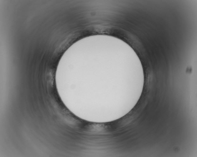 X0000112910121200910051053