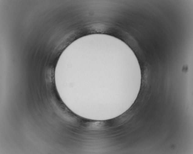X0000112910122200910051053