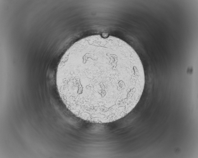 X0000112910123200910051053
