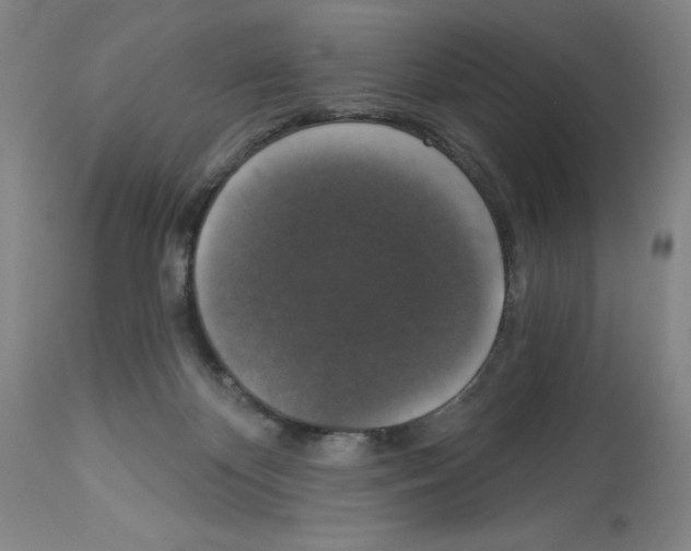 X0000112910124200910051053