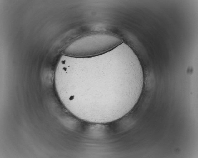 X0000112910125200910051053