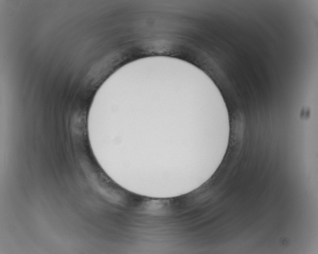 X0000112910126200910051053