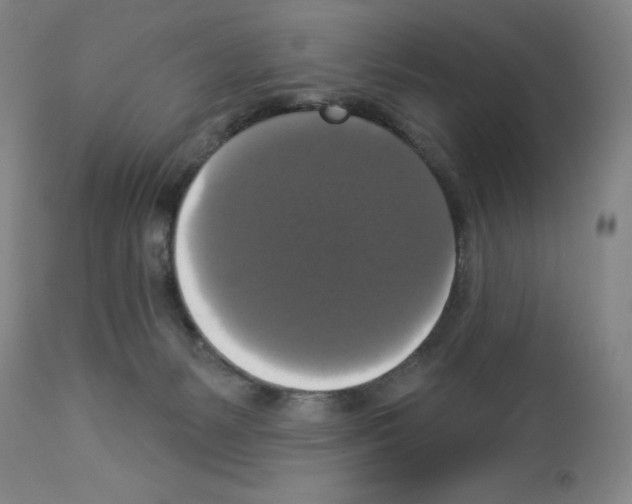 X0000112910127200910051053