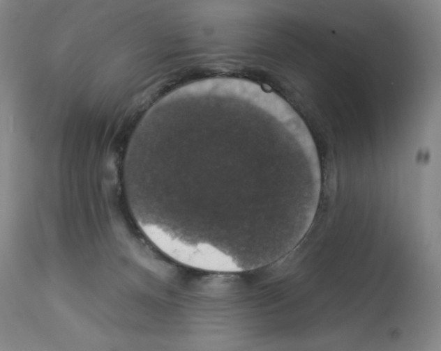 X0000112910128200910051053