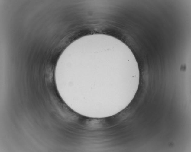 X0000112910129200910051053
