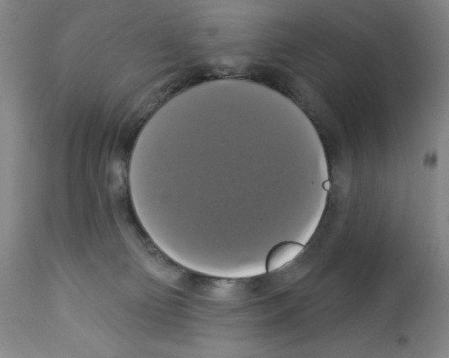 X0000112910130200910051053