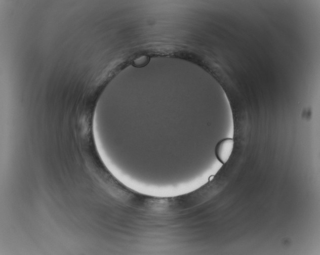 X0000112910131200910051053
