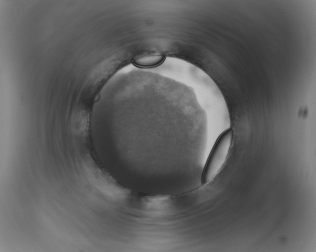 X0000112910132200910051053