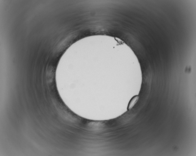 X0000112910133200910051053