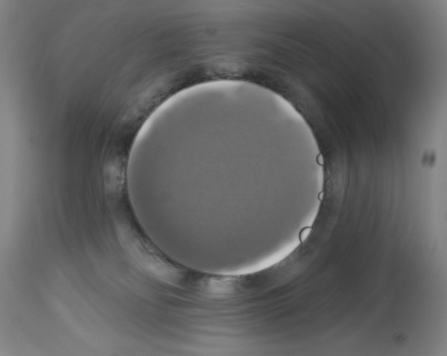 X0000112910134200910051053