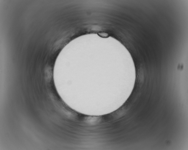 X0000112910135200910051053