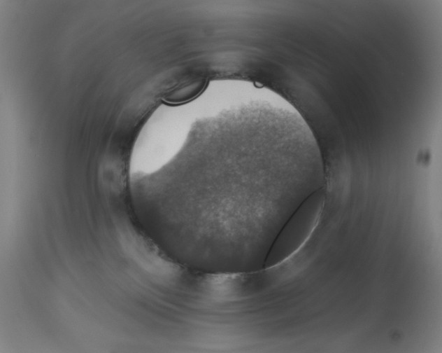 X0000112910136200910051053