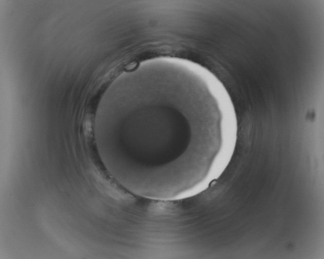 X0000112910137200910051053