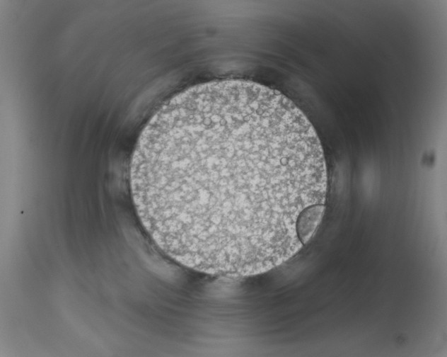 X0000112910138200910051053