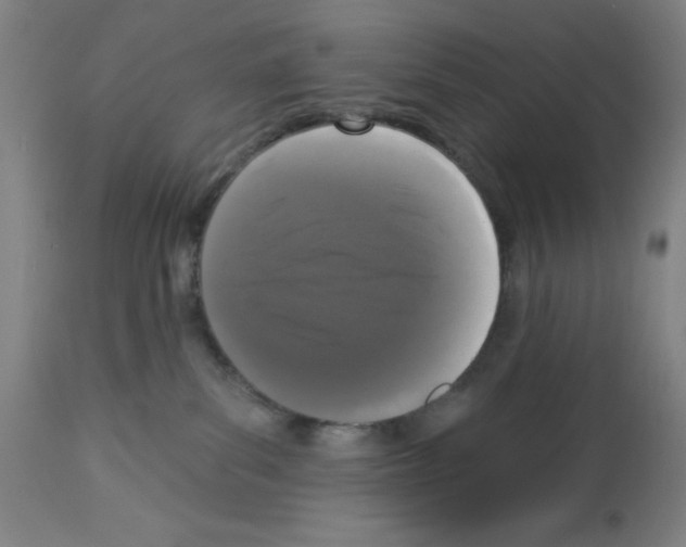 X0000112910139200910051053