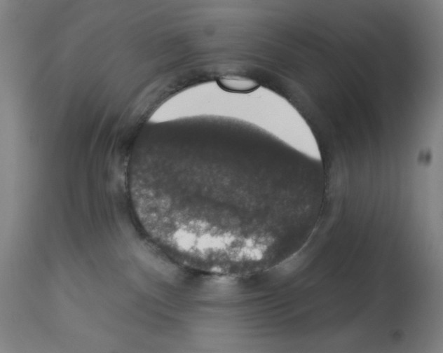 X0000112910140200910051053