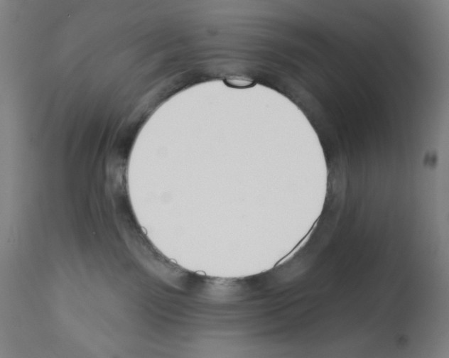 X0000112910141200910051053
