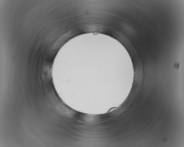 X0000112910142200910051052