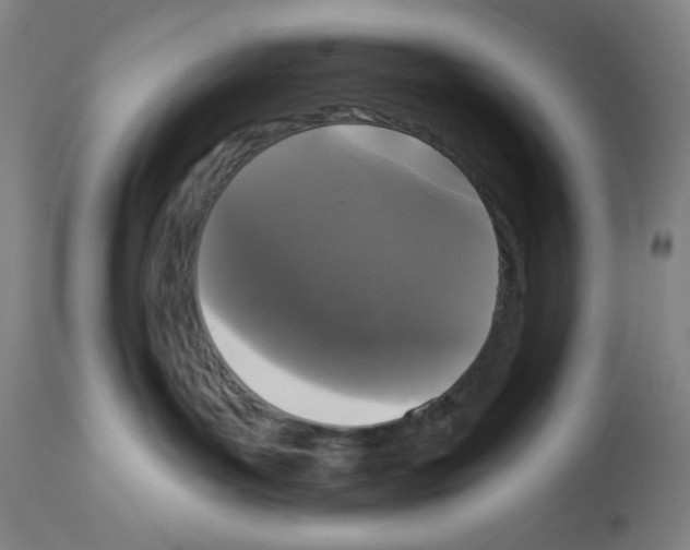 X0000112910143200910051052