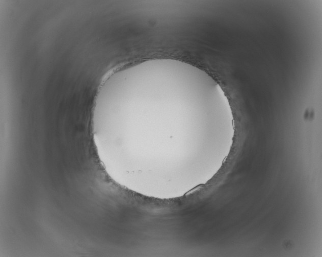 X0000112910144200910051052