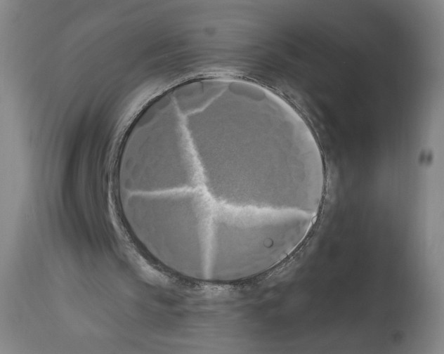 X0000112910145200910051052