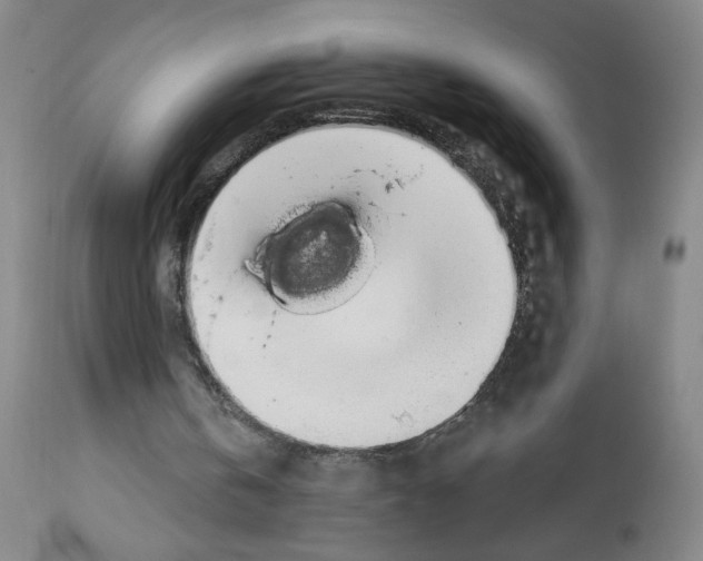 X0000112910146200910051052