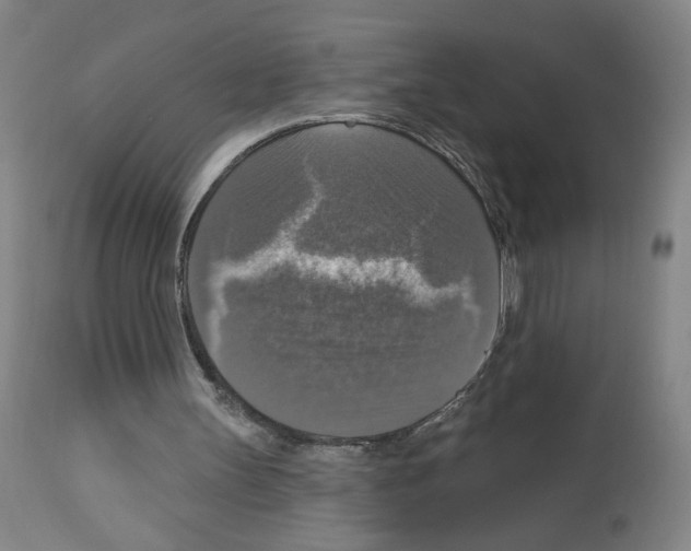 X0000112910147200910051052
