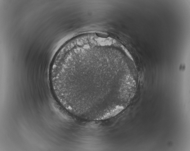 X0000112910148200910051052