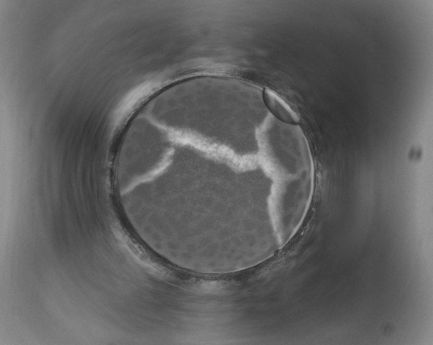 X0000112910149200910051052