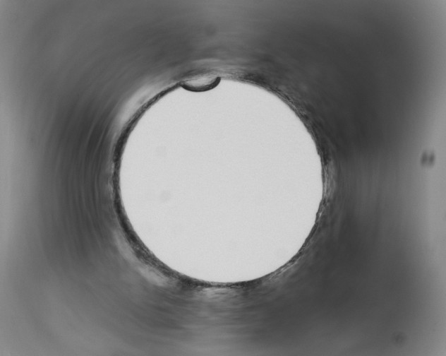 X0000112910150200910051052