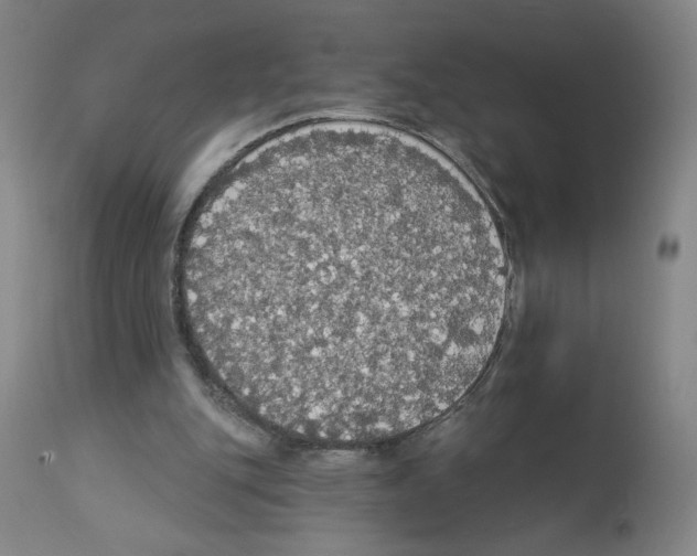 X0000112910151200910051052
